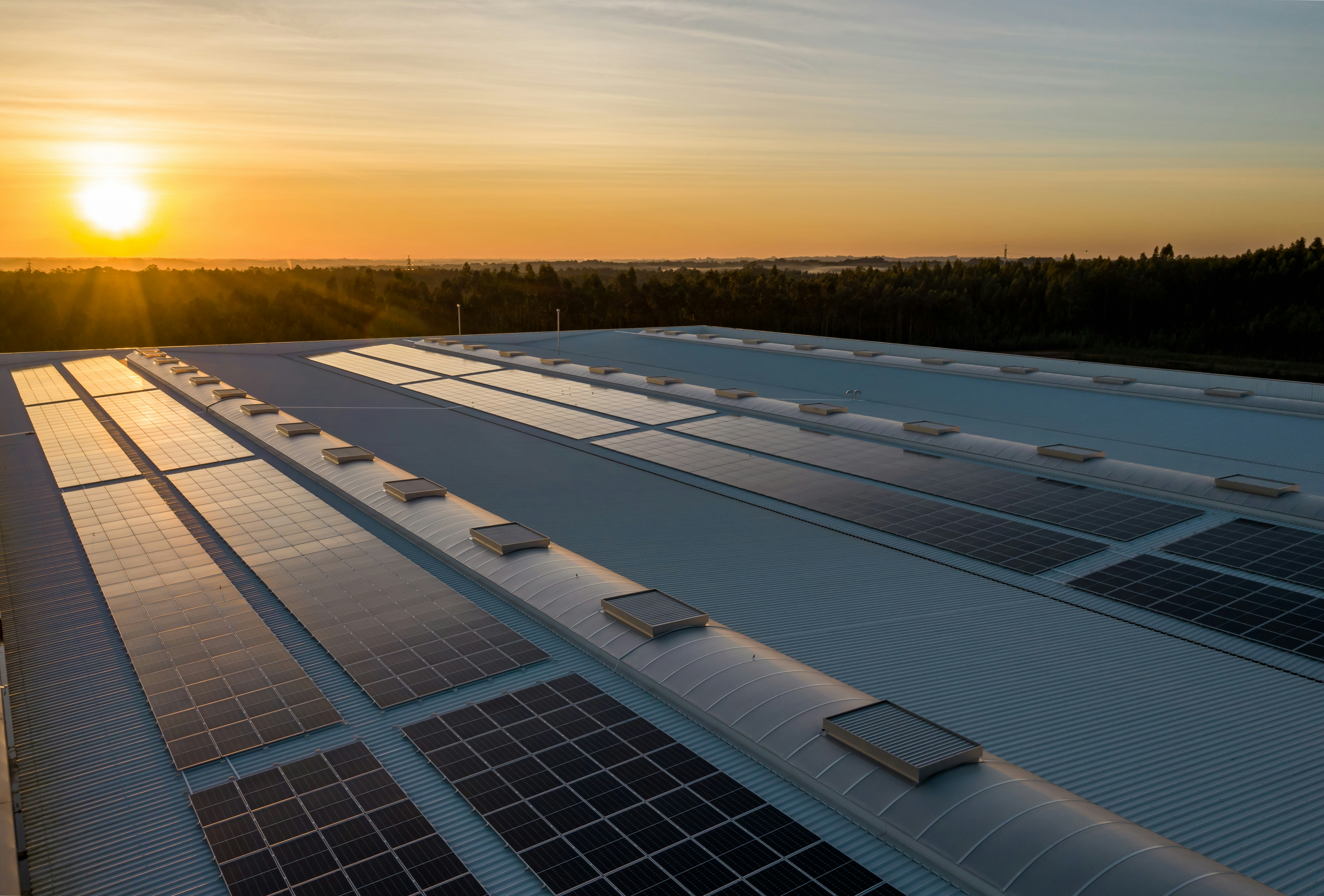 Solar PV, Battery Storage & Heat Pumps: The UK Installer's Guide to the Renewable Energy Boom